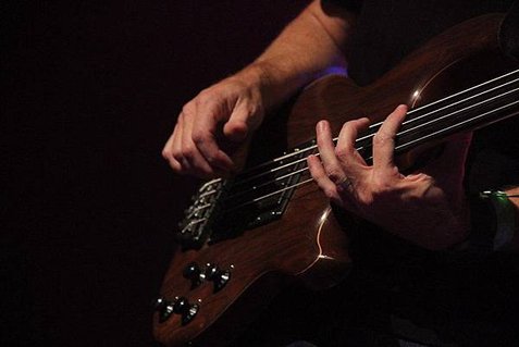 guitar finger