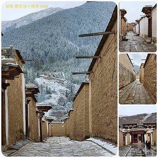 1120423甘南 夏河 拉卜楞寺 桑科濕地-若爾蓋 尕海湖 郎木寺 拼圖(17).jpg