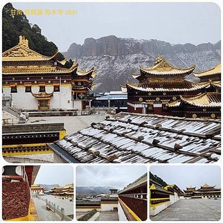1120423甘南 夏河 拉卜楞寺 桑科濕地-若爾蓋 尕海湖 郎木寺 拼圖(35).jpg