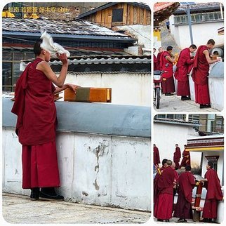 1120423甘南 夏河 拉卜楞寺 桑科濕地-若爾蓋 尕海湖 郎木寺 拼圖(39).jpg