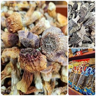 1120424甘南 郎木寺-四川 若爾蓋 花湖-若爾蓋大草原-黃河第一灣 拼圖(23).jpg