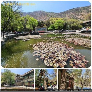 1120430甘肅 蘭州-五泉山公園 中山橋 白塔山公園 大衆巷 拼圖(4).jpg