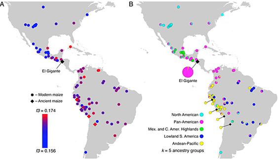 中美洲2300年前玉米，來自南美洲情慾流動