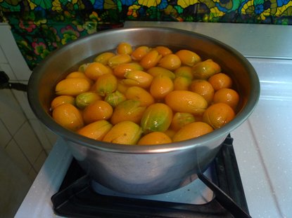 照片 193.jpg