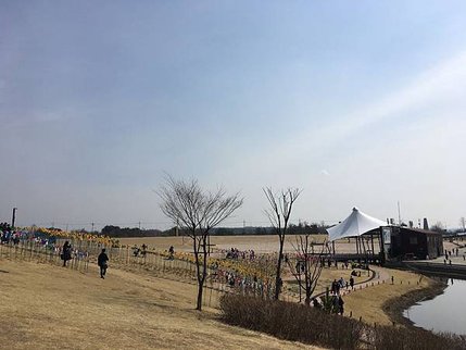IMG_4930.JPG