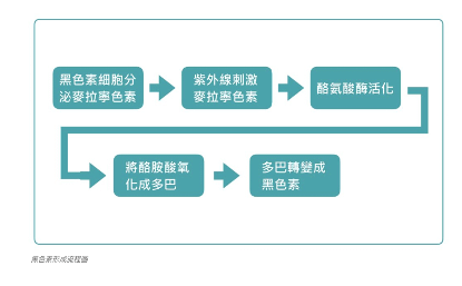 圖片 3.png