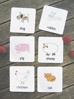 animal-flash-cards-302a