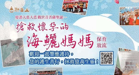 哪裡可以參與每月放生活動？觀音山最新2025放生活動訊息！