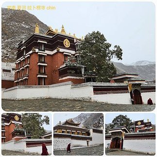 1120423甘南 夏河 拉卜楞寺 桑科濕地-若爾蓋 尕海湖 郎木寺 拼圖(14).jpg