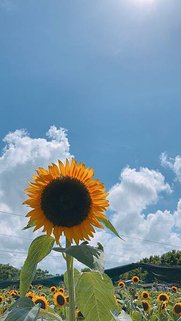 IMG_1544