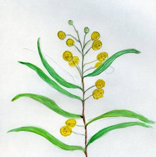 2010-04-15.jpg