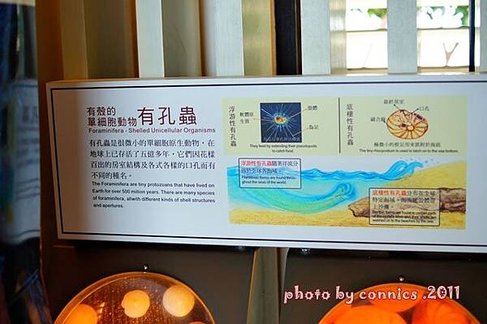 DSC03080.JPG