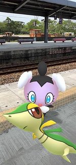 藤藤蛇20.jpg