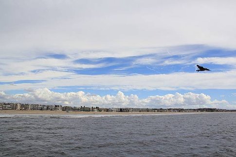 IMG_7670
