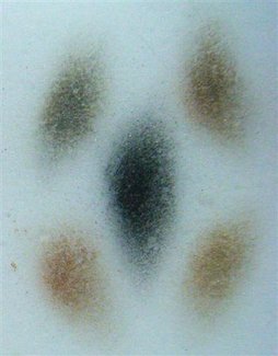 照片 4002 (Small).jpg