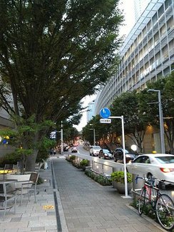 p152749622333.jpg