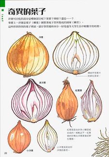 蔬菜大驚奇-00008