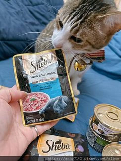 [萌寵●貓主食]Sheba®希寶 ｜成貓飼料，鮮肉慕斯主食罐