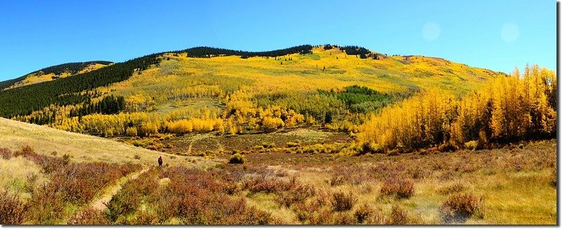 Fall colors, Kenosha Pass  (47)