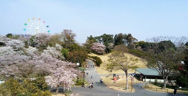 濱松花卉主題公園 (13)