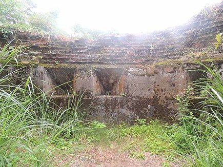 2015-07-30  新竹大混山李棟山八五山   101.JPG