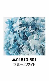 大地農園01513-601_繡球花哪裡買_繡球花介紹_永生花專賣_永生花推薦_愛意花坊-2022.jpg