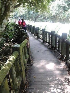 20150802_113451