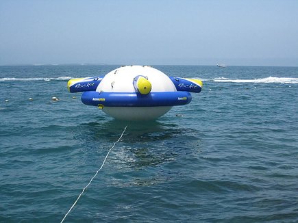 IMG_4099.jpg