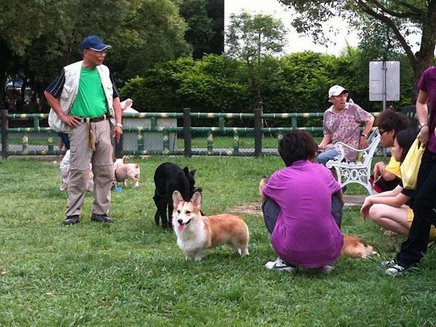 IMG_0962.jpg