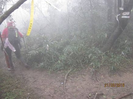 2016-03-21  新北竹山古道   048.JPG