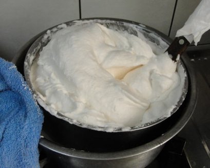20100627011.jpg