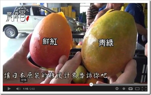 達人告訴你如何挑芒果