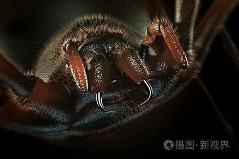 奇異的救贖之路 - &gt; 愛上天啟四騎士之疾病 Chapter