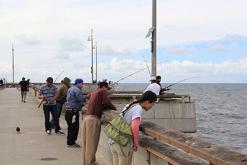 IMG_7665