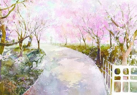 樱花道1