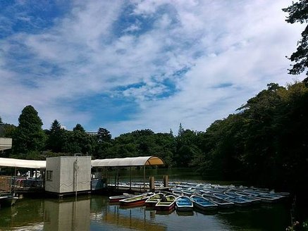 p152749416763.jpg