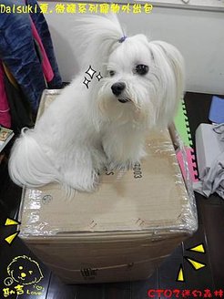 nEO_IMG_DSCN0133.jpg