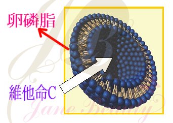 微酯囊.jpg