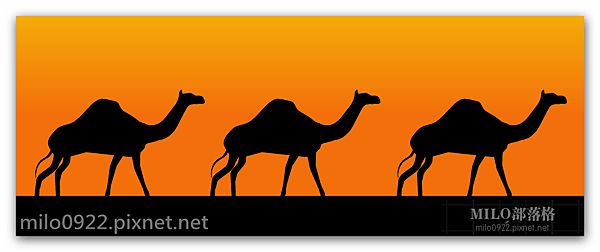 漫步的駱駝camels  milo0922.pixnet.net__023_