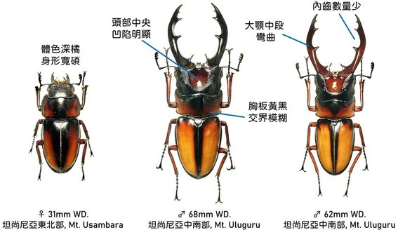 米拉完整.jpg