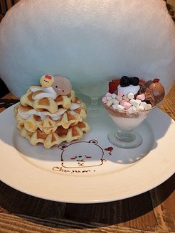 20190315_140741.jpg