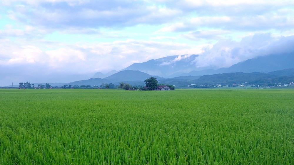 台東景點推薦】2020不能錯過10大新興旅遊城市的台東熱門景點-Travel x Freedom-欣傳媒旅遊頻道