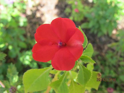 照片 058.jpg