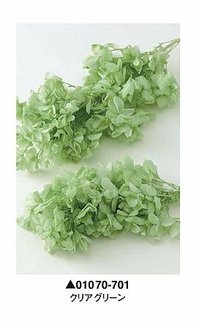 大地農園01070-701_繡球花哪裡買_繡球花介紹_永生花專賣_永生花推薦_愛意花坊-2022.jpg