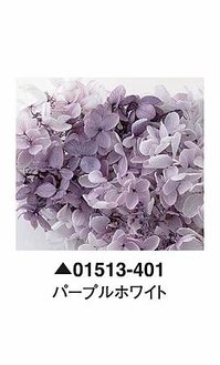 大地農園01513-401_繡球花哪裡買_繡球花介紹_永生花專賣_永生花推薦_愛意花坊-2022.jpg