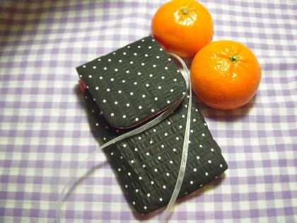 20110225 Cellphone pouch1.jpg