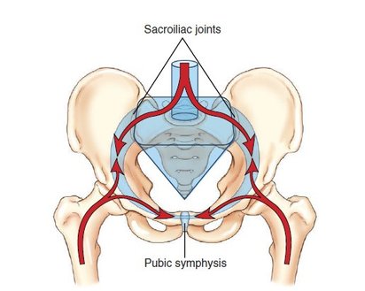 骨盆構造-1.jpg