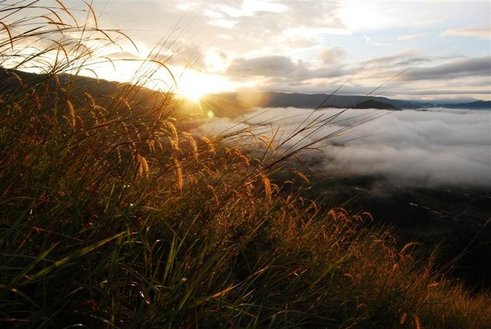 broga hill (17) (Medium).JPG