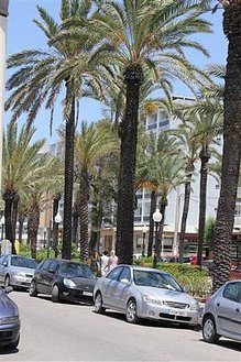 IMG_1151 (Medium).JPG
