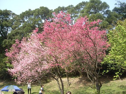 IMGP2786.JPG